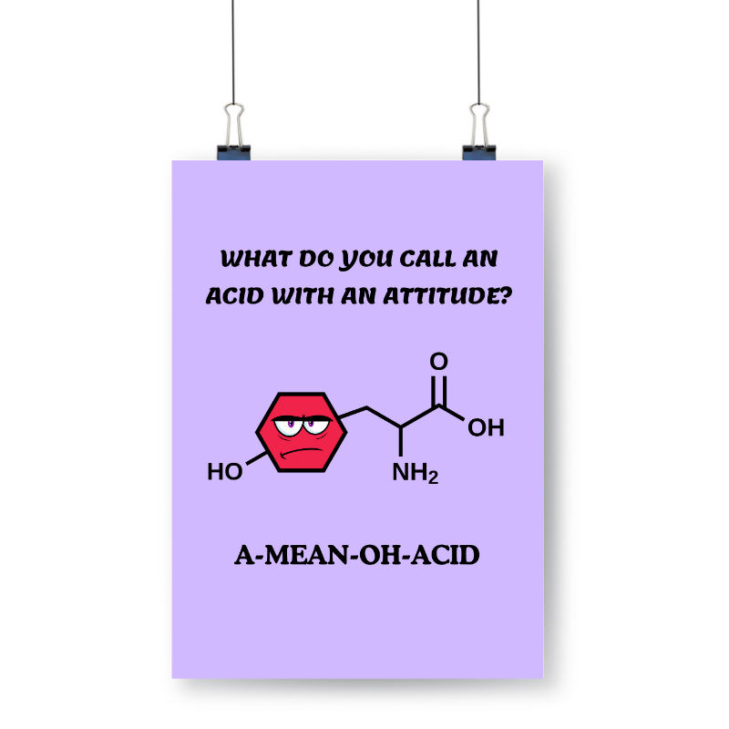Meester Mo - A-mean-oh-acid Scheikunde Poster