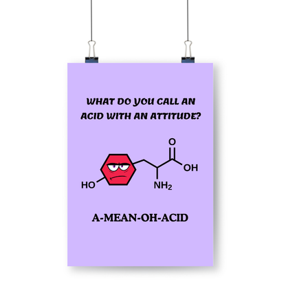 Meester Mo - A-mean-oh-acid Scheikunde Poster