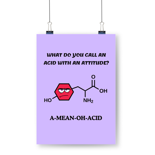 Meester Mo - A-mean-oh-acid Scheikunde Poster